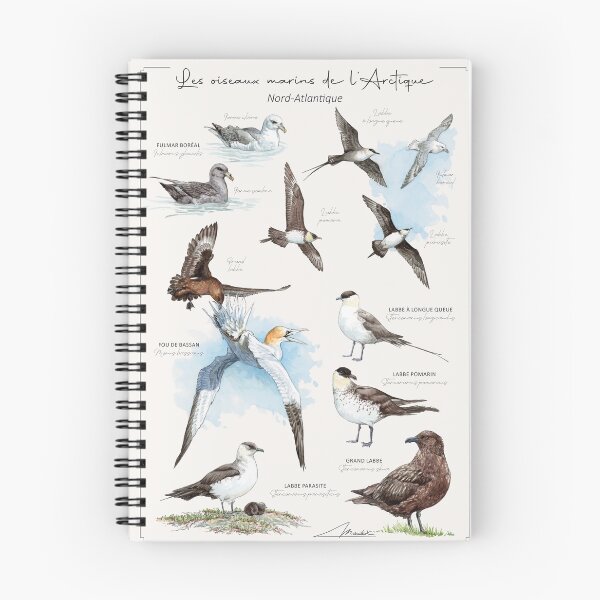 Item preview, Les oiseaux marins de l'Arctique - FR version designed and sold by Maudeux.