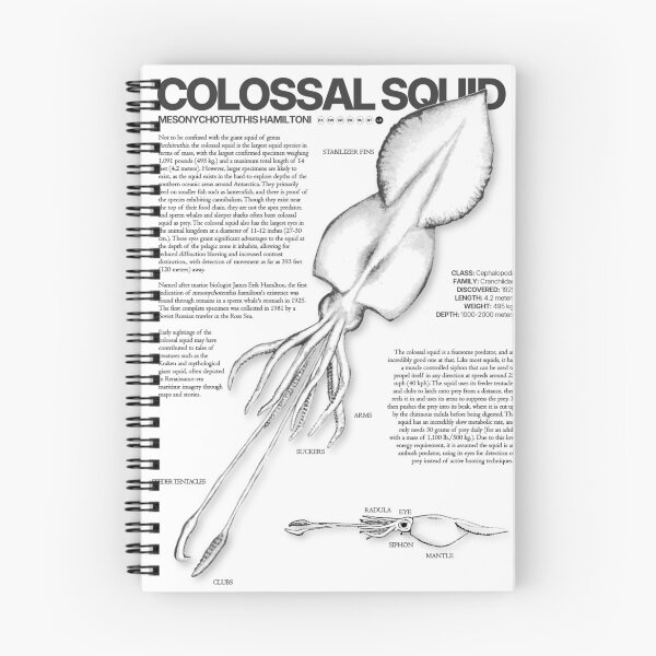 Item preview, Colossal Squid Scientific Poster designed and sold by LiftoffDesigns.