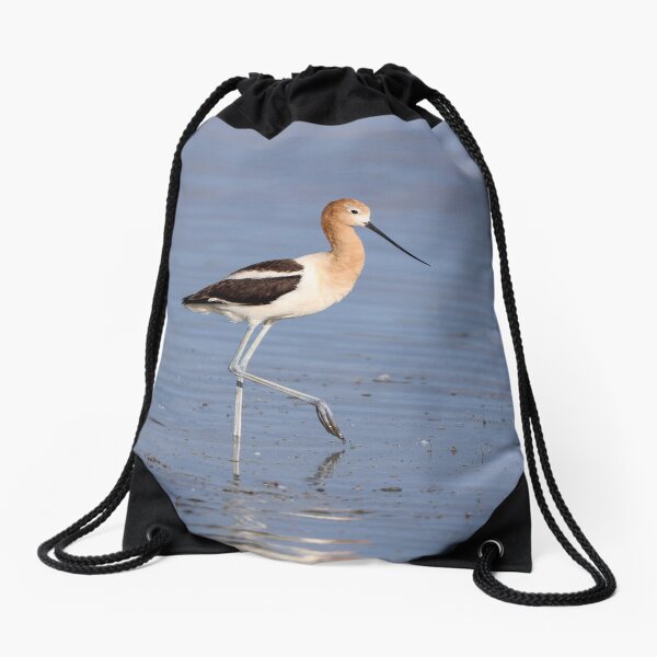 Vista previa del artículo con la obra «Avoceta», diseñado y vendido por Christopher Paquette Photography.