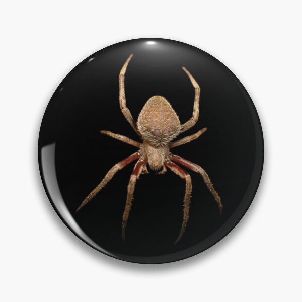 Item preview, Orb weaver spider - without web  designed and sold by Wild-shms.