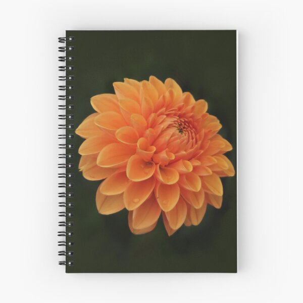 Item preview, flor naranja designed and sold by AgArtD.