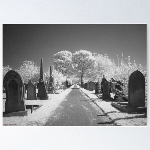 Item preview, Harton Cemetery Spring 2025 designed and sold by mickwarkcup.