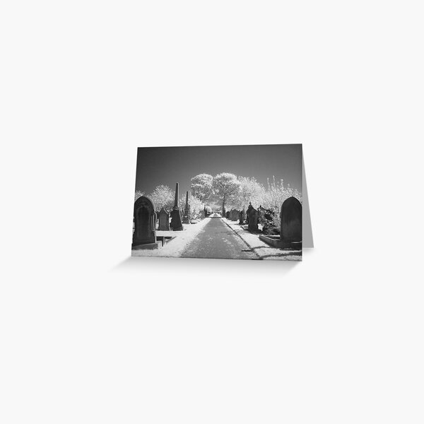 Item preview, Harton Cemetery Spring 2025 designed and sold by mickwarkcup.