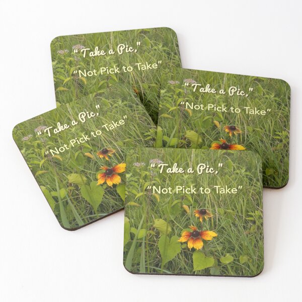 Item preview, “Take a Pic, Not Pick to Take” – Wildflower Awareness Design designed and sold by Dynahgrl.
