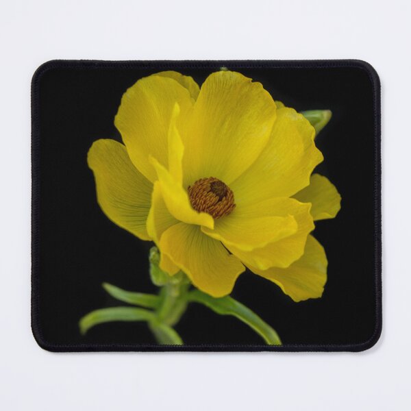 Item preview, Butterfly Petals designed and sold by Meghan Bryant.