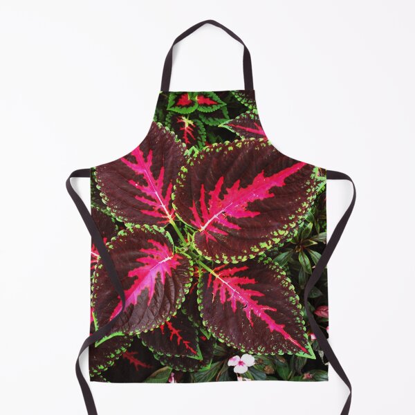 Item preview, Coleus designed and sold by LibrosBOOKtique.
