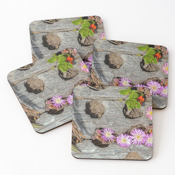 Item preview, Tiny Flowers growing in a piece of driftwood designed and sold by lisavonbiela.