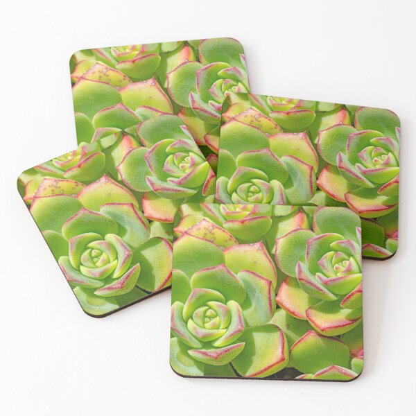 Item preview, Extreme close-up of echevaria succulent designed and sold by lisavonbiela.