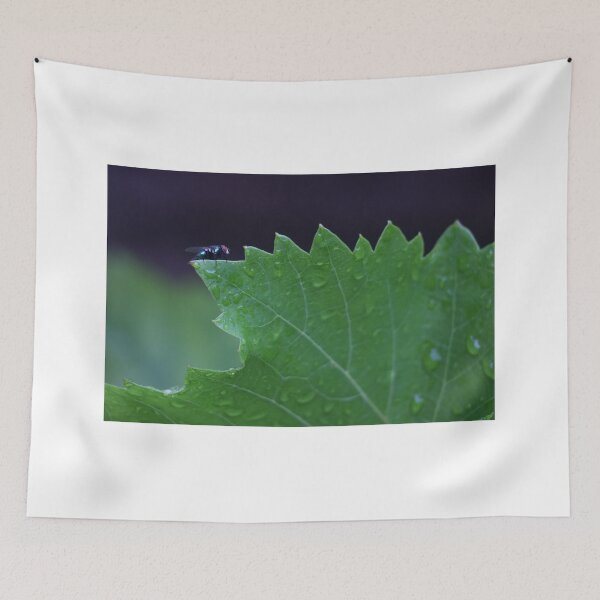 Item preview, Green Fly designed and sold by YoYaPhotography.