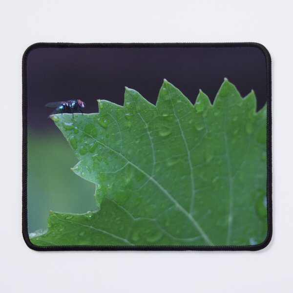 Item preview, Green Fly designed and sold by YoYaPhotography.