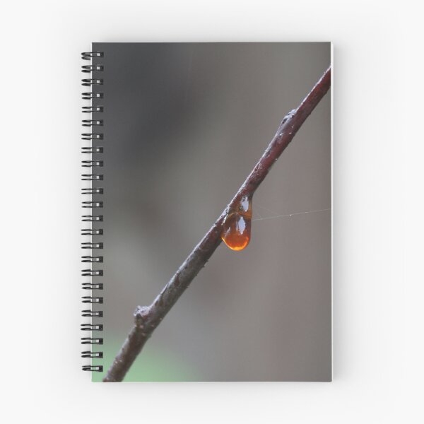 Item preview, Golden Amber Drop designed and sold by YoYaPhotography.