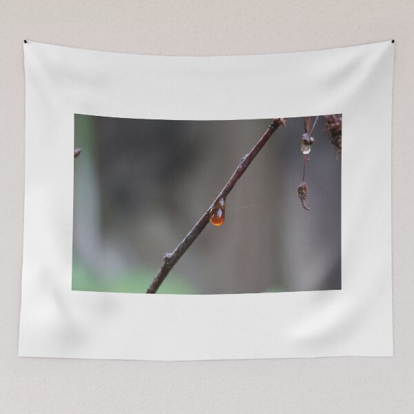 Item preview, Golden Amber Drop designed and sold by YoYaPhotography.