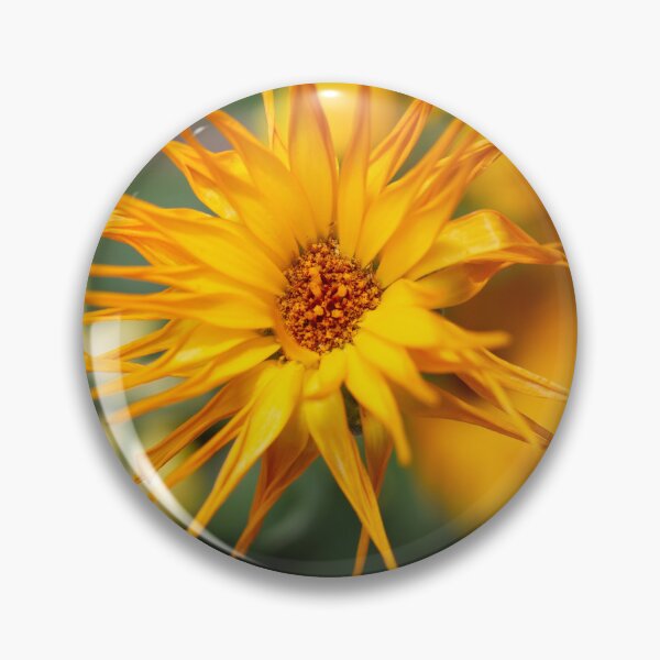 Item preview, Marigold Extravaganza designed and sold by Kasia Design.