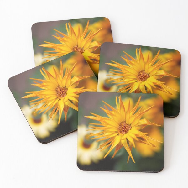 Item preview, Marigold Extravaganza designed and sold by Kasia Design.