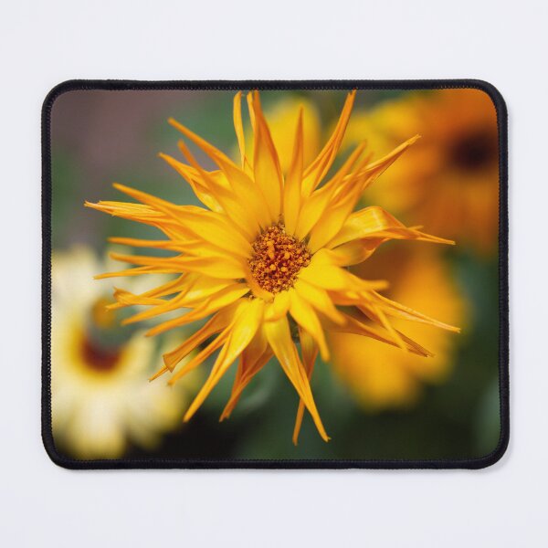 Item preview, Marigold Extravaganza designed and sold by Kasia Design.