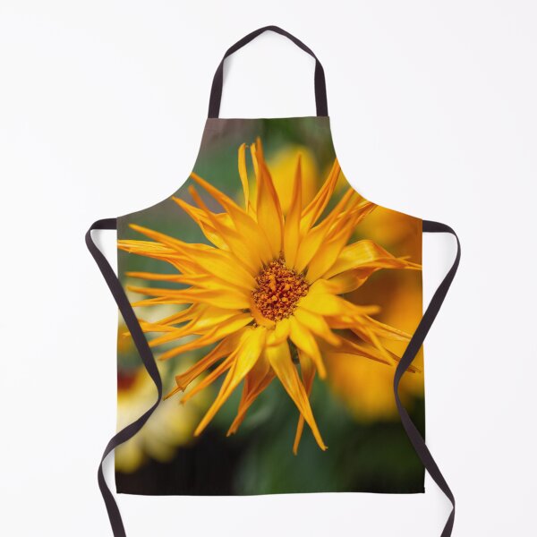 Item preview, Marigold Extravaganza designed and sold by Kasia Design.