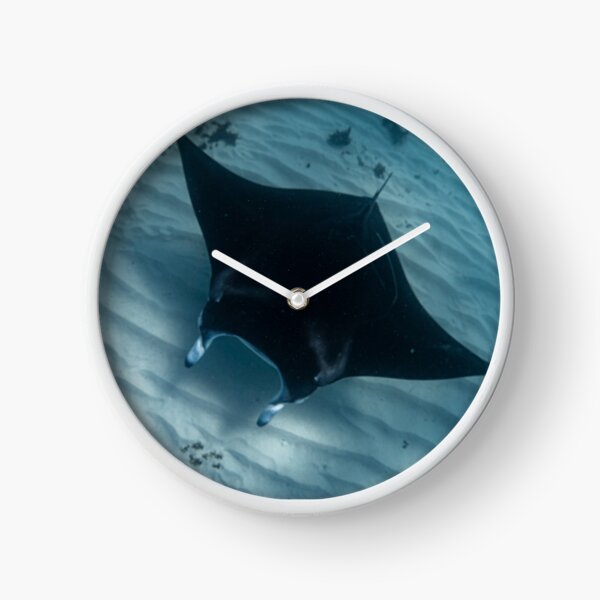 Item preview, Oceanic Manta Ray Cruising the Sand Bar designed and sold by Pristine Photo Prints.