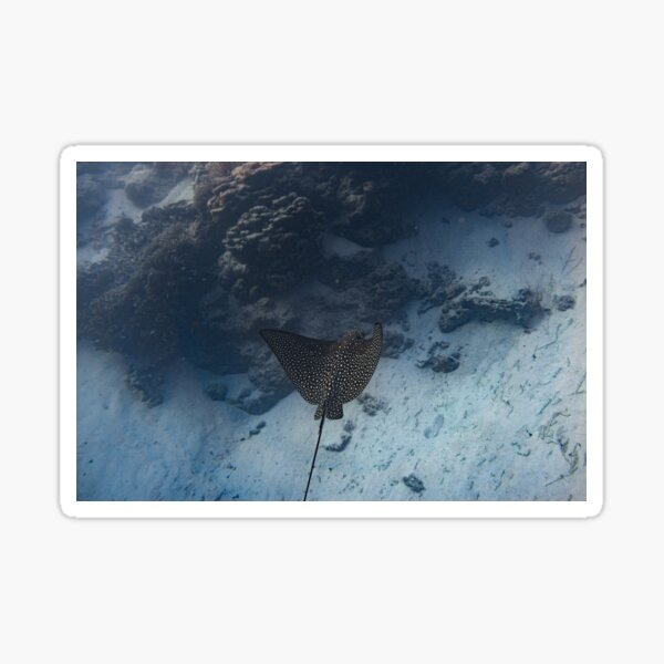 Item preview, Flapping Eagle Ray designed and sold by Pristine Photo Prints.