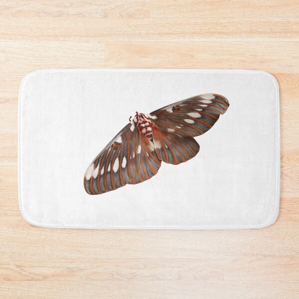 Item preview, Citheronia splendens female  designed and sold by Entomologist.