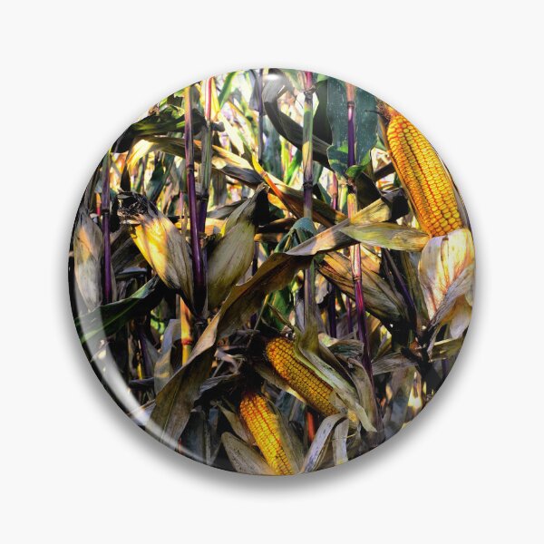 Item preview, Sun on a Cornfield designed and sold by Wayne King.
