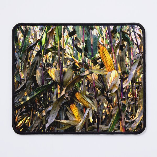 Item preview, Sun on a Cornfield designed and sold by Wayne King.