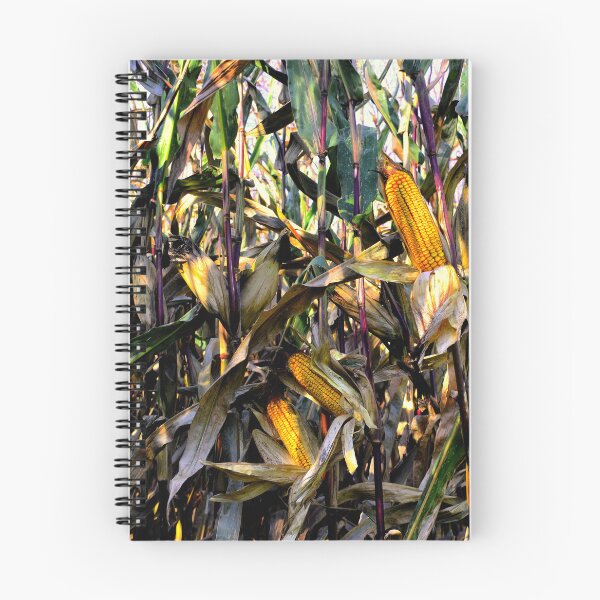 Item preview, Sun on a Cornfield designed and sold by Wayne King.