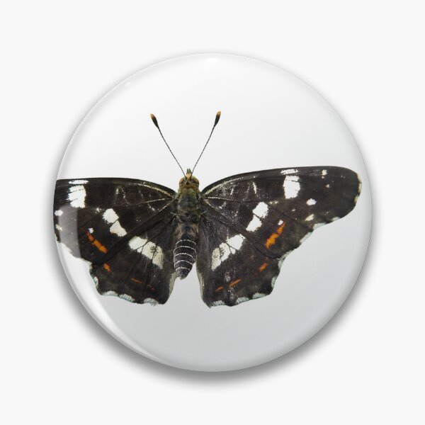 Item preview, Common map butterfly /  Araschnia levana designed and sold by Entomologist.