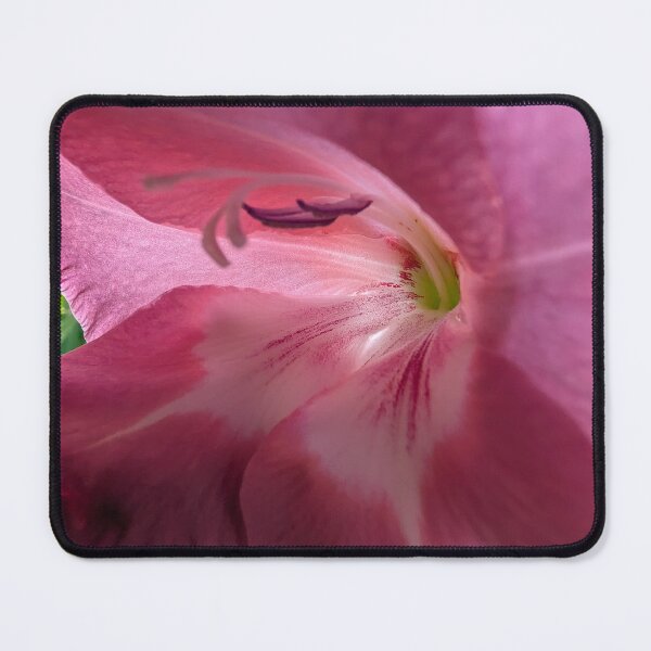 Item preview, Summer Glads II designed and sold by Emily Noyes.
