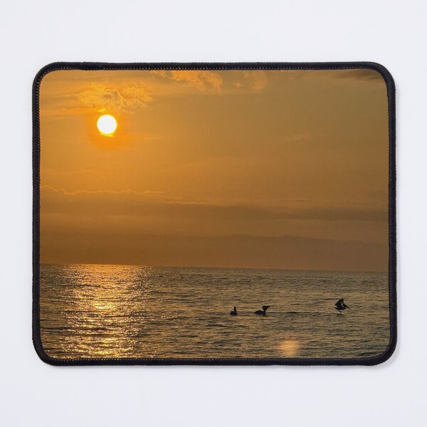 Item preview, Pelicans sunrise swim designed and sold by jimisimij.