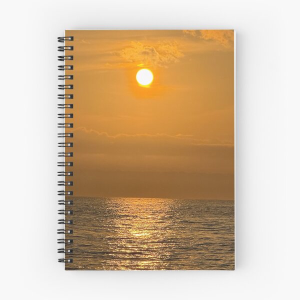 Item preview, Pelicans sunrise swim designed and sold by jimisimij.
