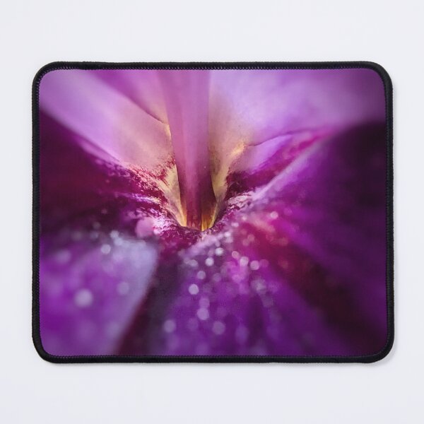 Item preview, Summer Glads III designed and sold by Emily Noyes.