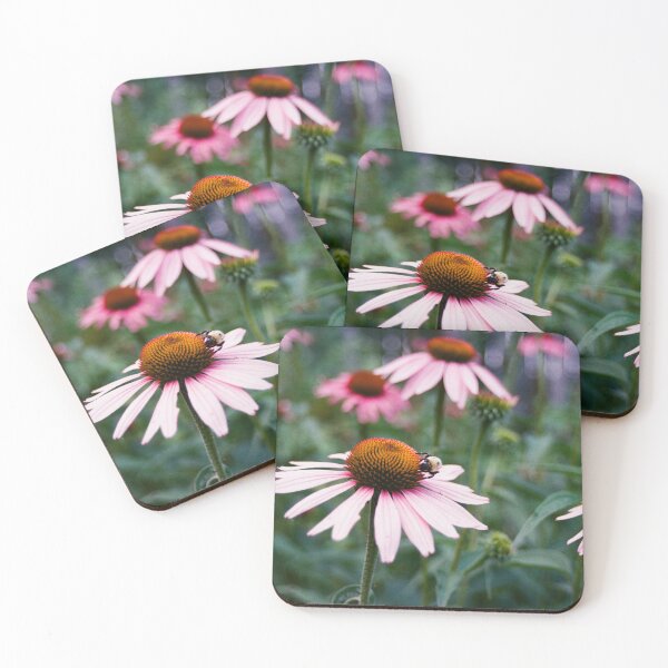 Item preview, Echinacea designed and sold by coolbaughism.