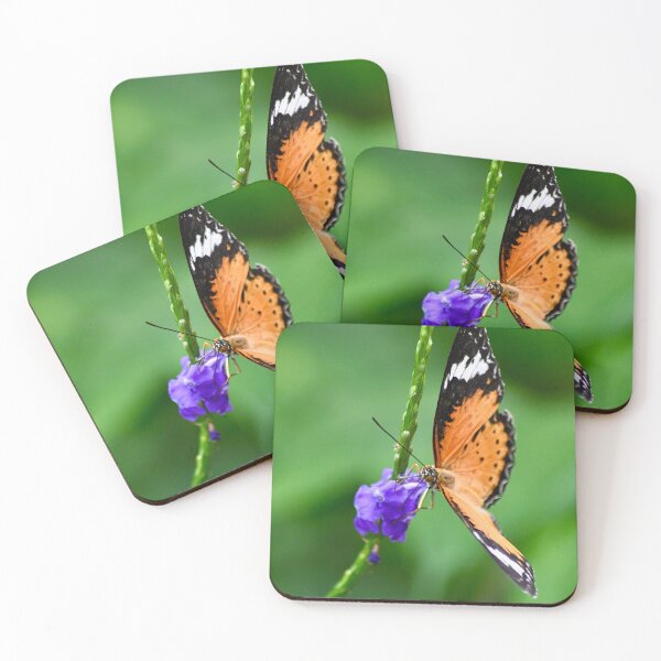 Item preview, Leopard Lacewing Butterfly designed and sold by richardbryce.