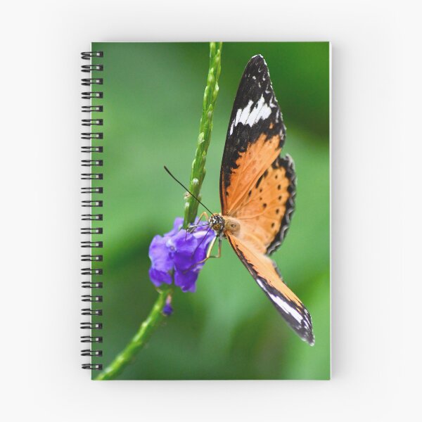 Item preview, Leopard Lacewing Butterfly designed and sold by richardbryce.