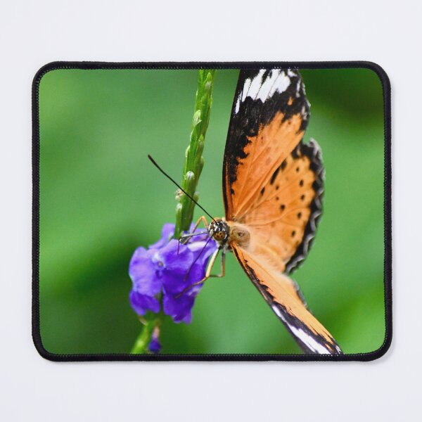 Item preview, Leopard Lacewing Butterfly designed and sold by richardbryce.
