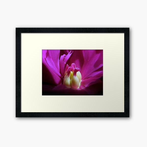 Inner Peony Framed Art Print