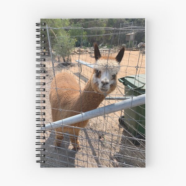 Item preview, Inquisitive alpaca designed and sold by DarSco75.
