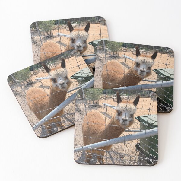 Item preview, Inquisitive alpaca designed and sold by DarSco75.