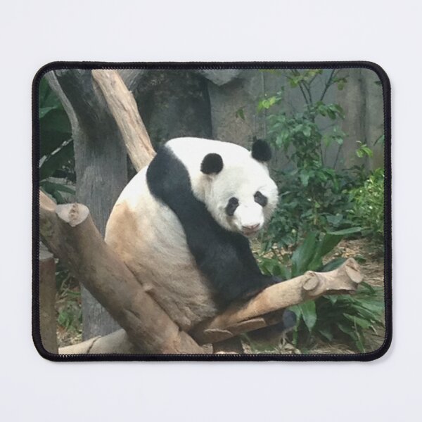 Item preview, Giant Panda, Singapore River Safari designed and sold by DarSco75.