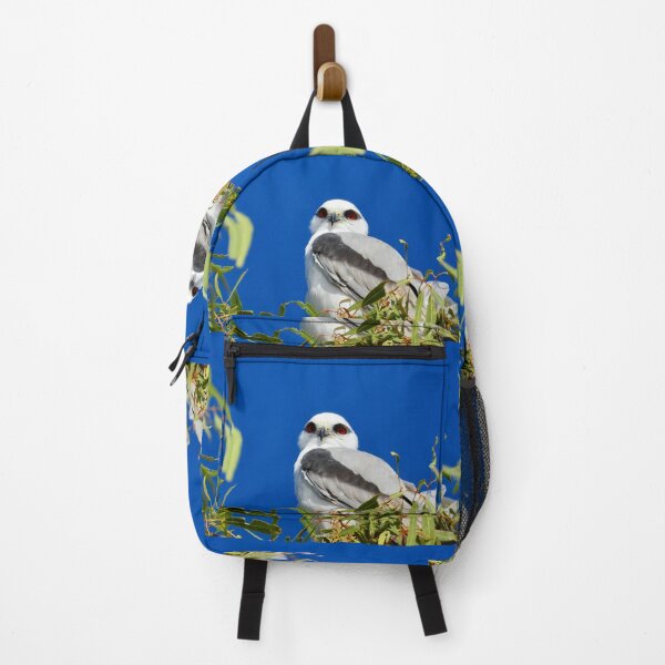 Item preview, beautiful Black shouldered Kite  designed and sold by Mark Grimsley.