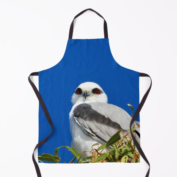 Item preview, beautiful Black shouldered Kite designed and sold by Mark Grimsley.