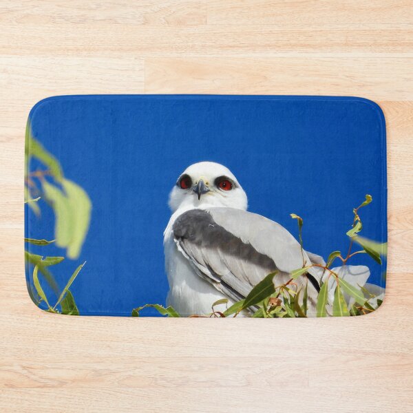 Item preview, beautiful Black shouldered Kite  designed and sold by Mark Grimsley.