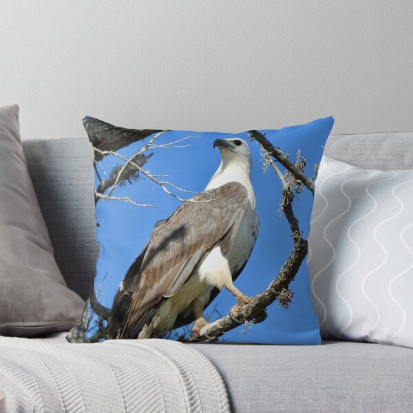 Item preview, White bellied se eagle striking pose designed and sold by Mark Grimsley.