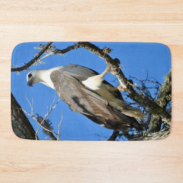 Item preview, White bellied se eagle striking pose designed and sold by Mark Grimsley.