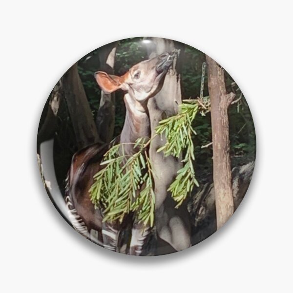Item preview, Okapi, San Diego Zoo designed and sold by DarSco75.