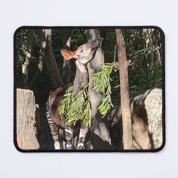 Item preview, Okapi, San Diego Zoo designed and sold by DarSco75.