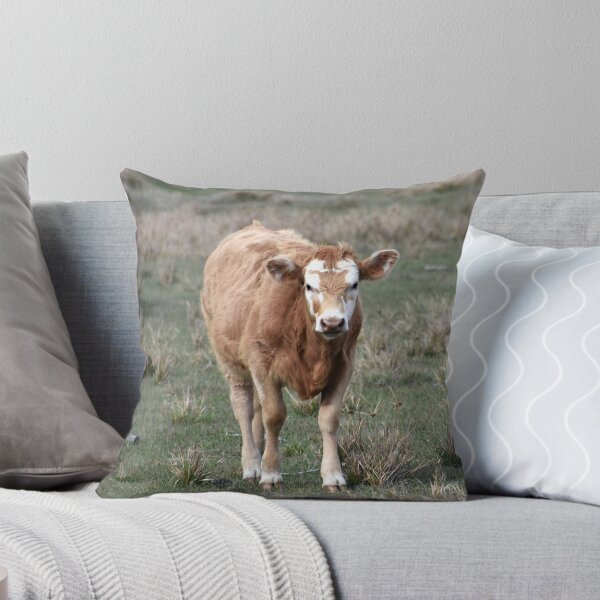 Item preview, Cows Grazing in a Colorado Field designed and sold by KillNFuel.
