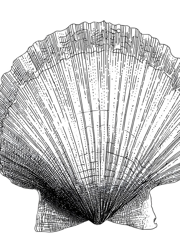 Thumbnail 4 of 4, iPhone Case, Scallop Shell designed and sold by SoundsGood2Me.