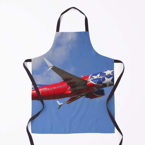 Item preview, Southwest Boeing 737-7H4 designed and sold by Skyframe Aviation.