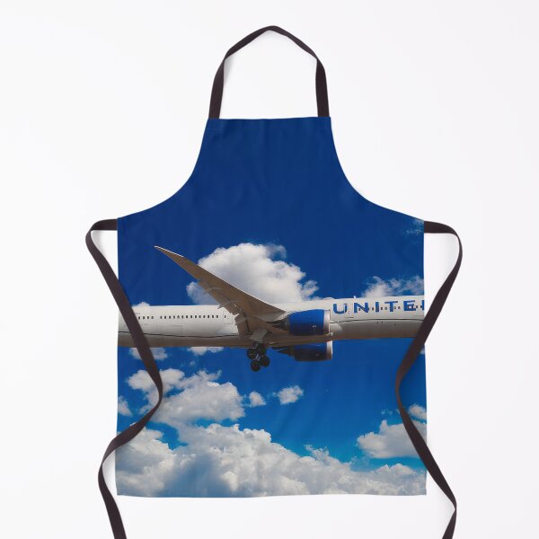 Item preview, United Boeing 787-10 designed and sold by Skyframe Aviation.